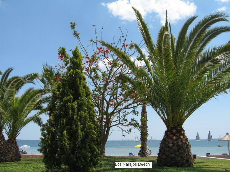 Beautiful 1 Bedroom Apartment In Roda, Los Alcazares. Larger Than Average. المظهر الخارجي الصورة